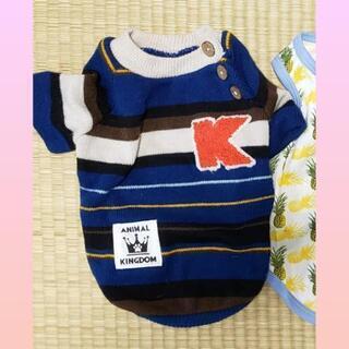 犬用　洋服　Mサイズ　新品！