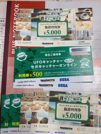 シーガイア株主利用券　22000円分