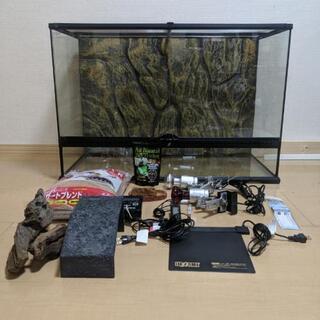 ゲージ 一式 フトアゴヒゲトカゲ 爬虫類飼育用品 GEX エキゾテラ ビバリア