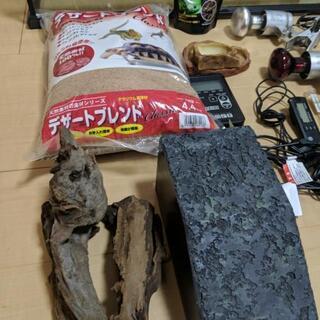 ゲージ 一式 フトアゴヒゲトカゲ 爬虫類飼育用品 GEX エキゾテラ ビバリア