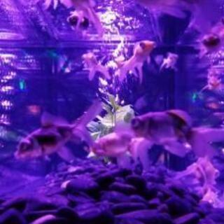 まだ注意が必要な世の中ですが！ - その他
