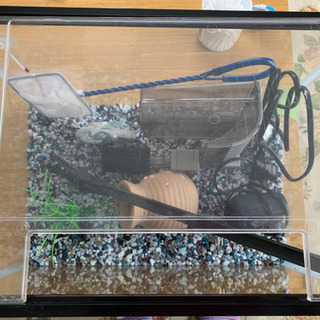 金魚飼育用40センチ水槽セットの画像