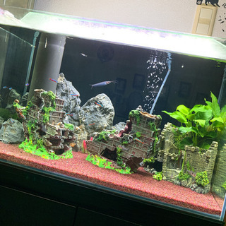 オーバーフロー水槽 60サイズの画像