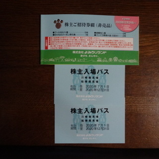 よみうりランドプール2020/12/31まで有効　おまけ付きです。
