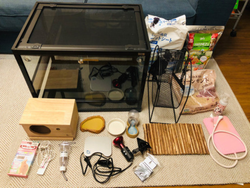 ハリネズミ 飼育セット一式