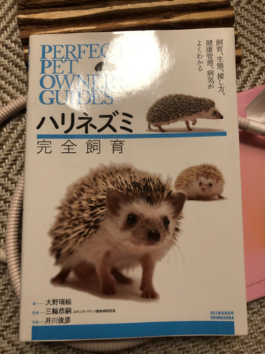 ハリネズミ 飼育セット一式