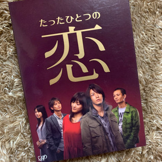 たったひとつの恋　DVD-BOX