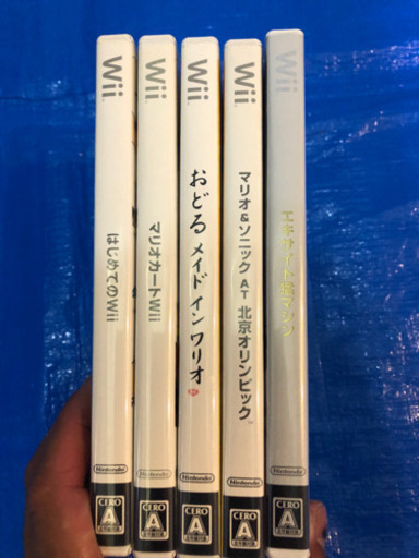 wii  本体一式　バラエティーパック