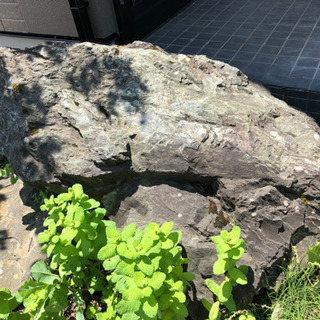 庭石差し上げます