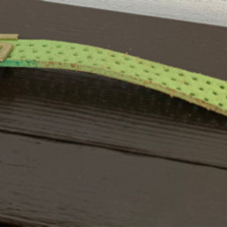 55DSLのベルトの画像