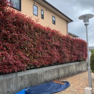 お困り事ご相談ください、便利屋です。