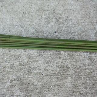 園芸用　支柱　90cm 11本の画像