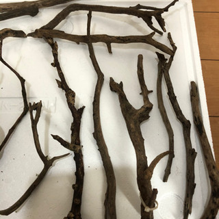 枝流木17本セット値下げ(熱帯魚水槽)の画像