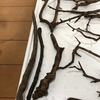 枝流木17本セット値下げ(熱帯魚水槽)の画像