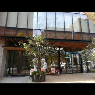 Cafe女子会