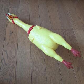 お腹を押すと鳴きます