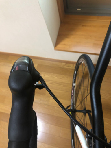 ルイガノロードバイク