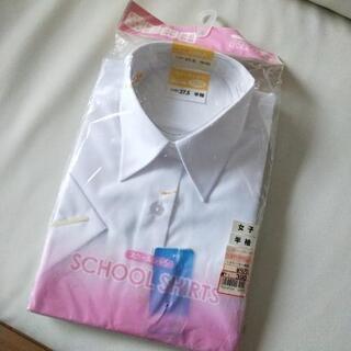 女子半袖スクールワイシャツ