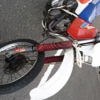 XLR250R 走ります。