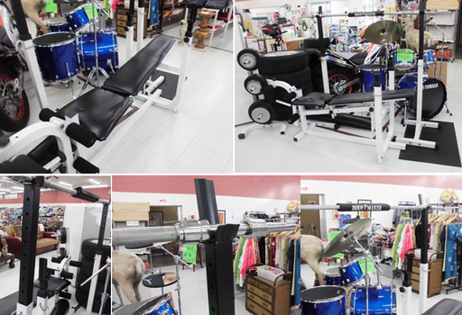 ボディメーカー ベンチプレスセット 幅:61×奥行:183×高さ:115(最大) フラット インクラインベンチ 苫小牧西店