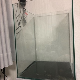30センチハイ水槽(交渉中)の画像