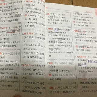 新日本语能力考试　文字词汇　速记  红宝书の画像