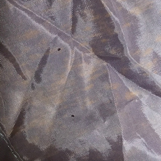 【訳あり価格値下げ】ワンピース13号　ベルト付きの画像