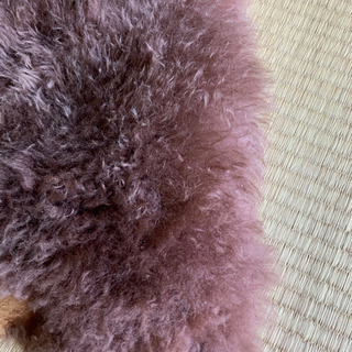 大幅値下げ　ムートンピース長毛1.5匹