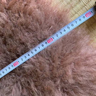 大幅値下げ　ムートンピース長毛1.5匹の画像