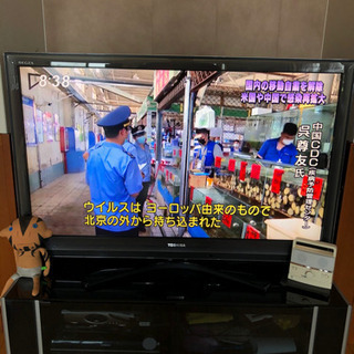 Panasonic スマートビエラTHL5 5FT60