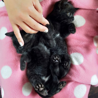 白いパンツを履いた黒猫🐈Brother's − 福岡県