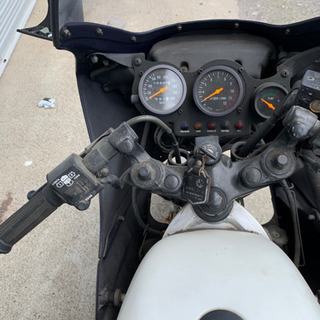SUZUKI RG250Γ 不動の画像