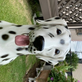 犬の置き物の画像