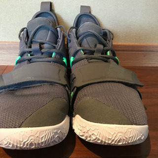 NIKE PG 2.5 28cmの画像