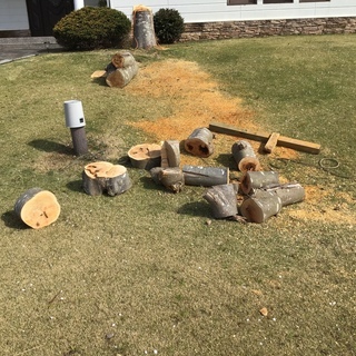 キャンプ場⛺️を作りながらキャンプを楽しみたい方募集