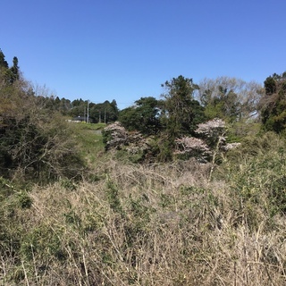 キャンプ場⛺️を作りながらキャンプを楽しみたい方募集 - 稲敷市