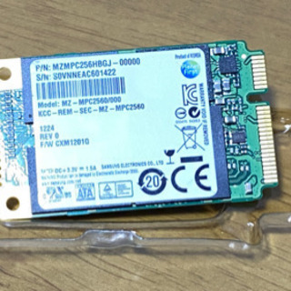 mSATA SSD256GB