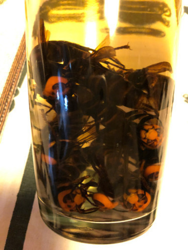 スズメバチ焼酎 滋養強壮 精力剤