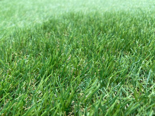 【取引中】人工芝 35mm  2.6m×2m＋ザバーン