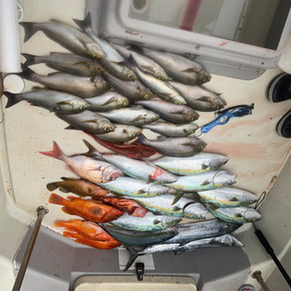 ボート釣りに興味がある方、一緒に海のルアー釣りやってみませんか。トレーラブルで和歌山県内どこでも行けます - メンバー募集