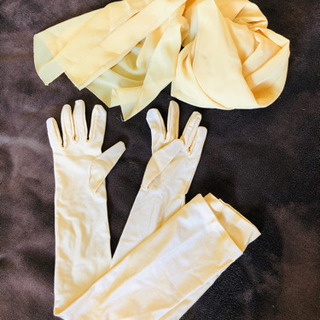 1st FUTABA YOKO PRODUCE 美女と野獣ベル風ドレスの画像