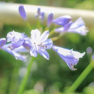 写真仲間募集(*^^*)