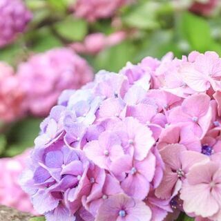 写真仲間募集(*^^*) - 友達