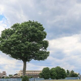写真仲間募集(*^^*) − 東京都