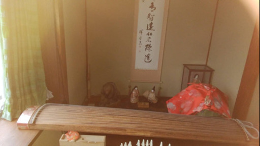 琴