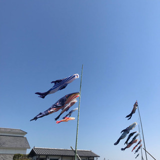 久峰公園 にてソフトテニス一緒にできる方募集します