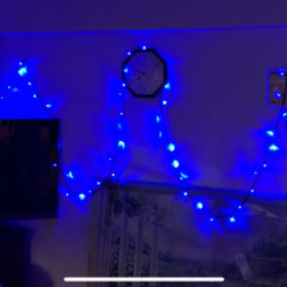 クリスマス　誕生日　各種イベントに　LED 点滅ライト　ブルー　点滅ライト100球　イルミネーション　アダプタ　コントローラーセットの画像