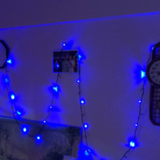 クリスマス　誕生日　各種イベントに　LED 点滅ライト　ブルー　点滅ライト100球　イルミネーション　アダプタ　コントローラーセットの画像