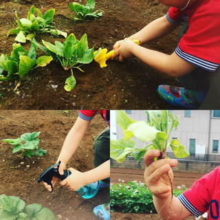 幼児英会話・小学生英会話の画像