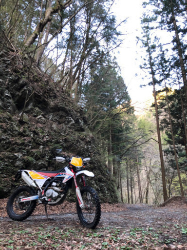 ファンティックtz200 値引きも歓迎です